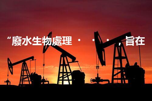 “廢水生物處理，旨在凈化水源，守護(hù)碧水藍(lán)天”
